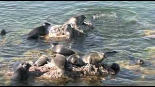 Lake Baikal Siberia Russia [upl. by Rabush]