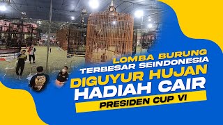 Diguyur Hujan Hadiah CAIR 😱😱🔥 DUEL MURAI Tiket Satu JUTA Presiden Cup VI [upl. by Ninehc]