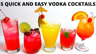 5 Easy Vodka Cocktails [upl. by Noiemad689]