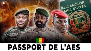 LE PASSPORT DE LAES EST FINALENENT DISPONIBLE  1204 [upl. by Gloriana]