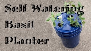 Self Watering Basil Planter [upl. by Byrann]