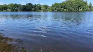 The Merrimack River As Seen From Southwell Field Boat Ramp North Chelmsford Massachusetts [upl. by Joliet729]