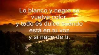 Te Voy Amar  Lyrics   Axel [upl. by Welcy711]