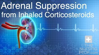 Adrenal Suppression from Inhaled Corticosteroids [upl. by Bartholomew]