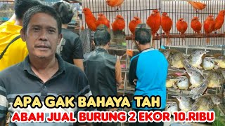 ABAH JUAL BURUNG 2 EKOR 10RIBU APA GAK BAHAYA TAH [upl. by Atis]