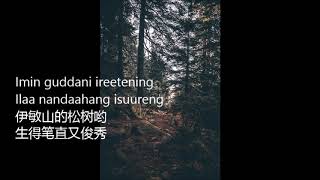 Evenki folk song 鄂温克民歌 红花尔基樟松 with lyrics in latin script and Chinese translation [upl. by Onirefes]