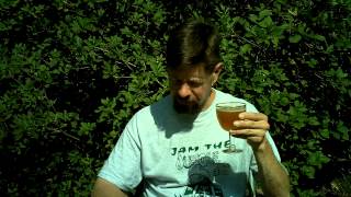 Louisiana Beer Reviews Westmalle Tripel [upl. by Aynatal]