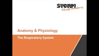 Respiratory system introduction and Overview [upl. by Aidole]