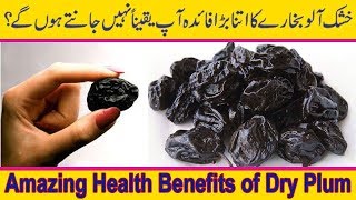 Amazing Health Benefits of Dry Plum In UrduHindi  Khushk Aloo Bukhara kay fayde [upl. by Nail]