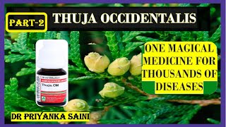 THUJA OCCIDENTALIS  HOMEOPATHY MEDICINE 1 MEDICINE FOR THOUSAND DISEASES drpriyankashomeopathy [upl. by Rubinstein]