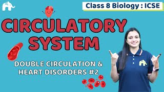 Circulatory System Class 8 ICSE Biology  Chapter 6  Double Circulation amp Heart Disorders 2 [upl. by Logan]