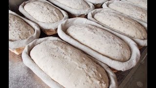 Fabrication du pain au levain et blés anciens  4  Le Façonnage [upl. by Ilesara]