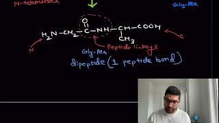 Peptide bond formation  Dipeptide tripeptide  GlyAla by TUC Nikhil Sharma [upl. by Berni]