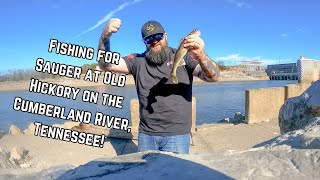 Fishing for Sauger at Old Hickory on the Cumberland River Tennessee [upl. by Ecirrehs228]