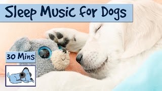 Help your Dog Sleep like a Baby [upl. by Genie159]