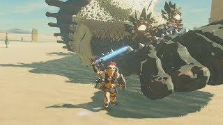 Fully Powered Master Sword DESTROYS MolduKing  Zelda Breath of the Wild [upl. by Schaumberger]