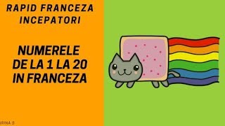 Franceza pentru incepatori2018  Numere in franceza de la 1 la 20 [upl. by Hniv]