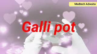 Gallipot [upl. by Dupuis]