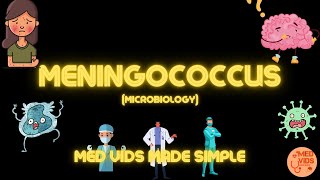 Meningococcus Neisseria meningitidis Microbiology  Med Vids Made Simple [upl. by Tempest996]