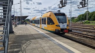 NEB  Mitfahrt in der kompletten RB63 von Eberswalde Hbf bis Joachimsthal im VT 646041 [upl. by Marjorie]