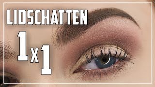 SO klappt es mit dem Lidschatten  Anfänger Guide  Lidschatten Tutorial Deutsch  Judy R [upl. by Eibbil920]