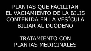 Plantas que facilitan el vaciamiento de la bilis contenida en la vesícula biliar al duodeno [upl. by Iman]