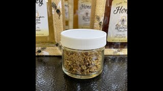 Gathering and Making a Honeybee Propolis Tincture and a Propolis with Raw Honey Throat Spray [upl. by Ttnerb423]