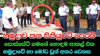 සිකියුරිටි මහත්තුරුන්ගේ ආතල් පෙරඩ් එක  chamara sampath dasanayaka  Eppawala Rock phosphate  sinha [upl. by Pinchas]