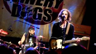 The Winery Dogs Love Is Alive [upl. by Daigle]