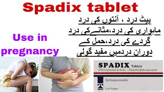 spadix tablet uses in urdu spadix tab use in pregnancyBenefits side effects how to use [upl. by Zelazny]