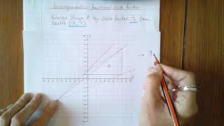 Enlargement  fractional scale factor [upl. by Olraced467]