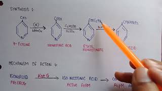 Isoniazid  synthesis of isoniazid  mechanism of action of isoniazid  Antitubercular drugs [upl. by Karilynn]