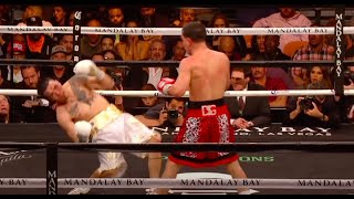 TKO Highlight  Danny Garcia vs Brandon Rios [upl. by Kobi]