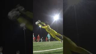 Goals Saves Fails vs BundesligaTeam wyld matchday ASMR 😤🧤🔥⚽️ [upl. by Ealasaid670]