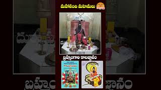 మహానంది మహిమలు చూపేనయా kalagnanam veerabrahmendraswamy mahandi brahmamgarimatam [upl. by Junina]