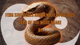 Feng Shui cures and remedies for 2025 Year of the Wood Snake §1 [upl. by Armitage]