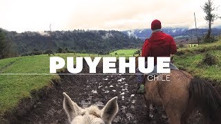 Puyehue termas y relajo en el sur de Chile  GoCarlos [upl. by Zischke]