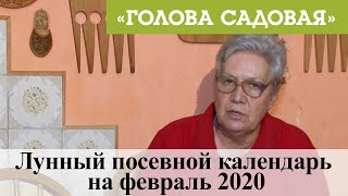 Голова садовая  Лунный посевной календарь на февраль 2020 [upl. by Earlene630]