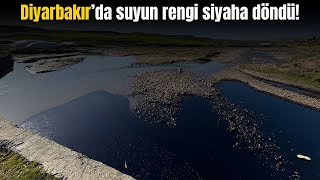 Diyarbakır’da sulama kanalına petrol karıştı  Bismil Haber [upl. by Nnayt262]