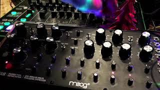 MONOPOWER DFAM TECHNO JAM WITH TR8 HELP [upl. by Ardnohs188]