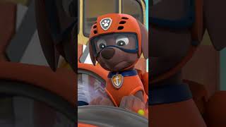 Rubble e Rocky salvano il fortino in fuga  PAWPatrol shorts Italiano [upl. by Akamaozu]