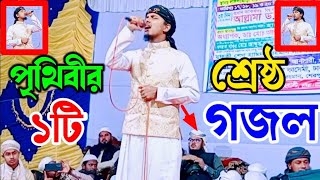 কান্না চলে আসার মত সেরা গজল  Hariye Jabo Ekdin  হারিয়ে যাবো একদিন। Tawhid Jamil  new song  song [upl. by Haroldson]