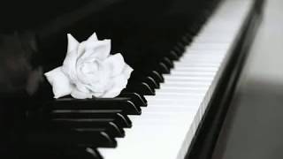 Chopin  Nocturne Op 9 n 2 Maurizio Pollini [upl. by Rusty]