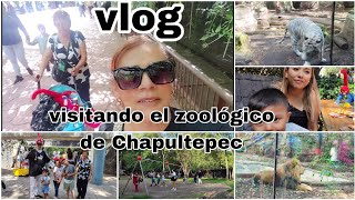 vlog  de paseo al zoológico de Chapultepec [upl. by Studnia705]