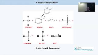 Medpathway MCAT Test Prep Organic Chemistry Review [upl. by Kepner]