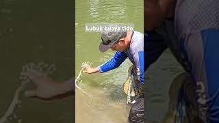 Kat sini selalu orang nampak buaya bejemur gengdunia fishing [upl. by Ultan474]