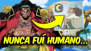 ESTA es la MEJOR TEORÍA que he visto NUNCA sobre KUROHIGE  One Piece Teoria [upl. by Demahum]