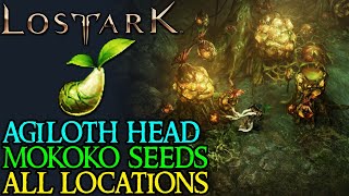 LOST ARK AQUILOKS HEAD ALL MOKOKO SEED LOCATIONS [upl. by Donnie881]