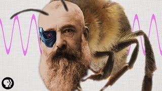 How Artist Claude Monet Was Kind Of Like a Honeybee [upl. by Jacquelynn356]