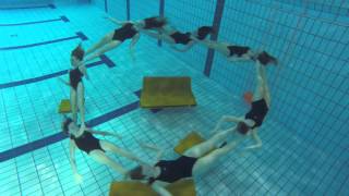 Atelier Pfister springt ins Wasser [upl. by Jehial]